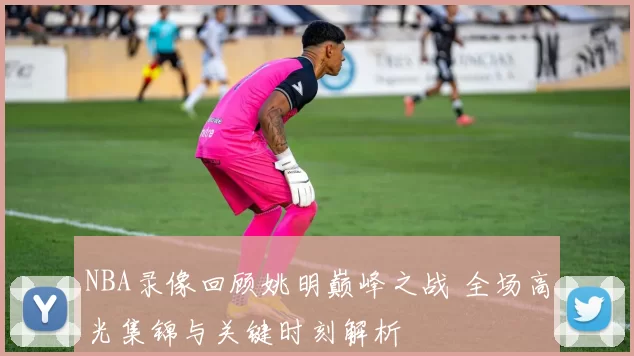 NBA录像回顾姚明巅峰之战 全场高光集锦与关键时刻解析