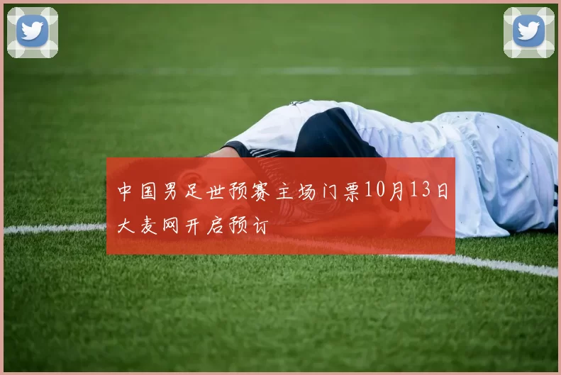 中国男足世预赛主场门票10月13日大麦网开启预订