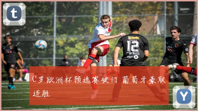 C罗欧洲杯预选赛破门 葡萄牙豪取连胜