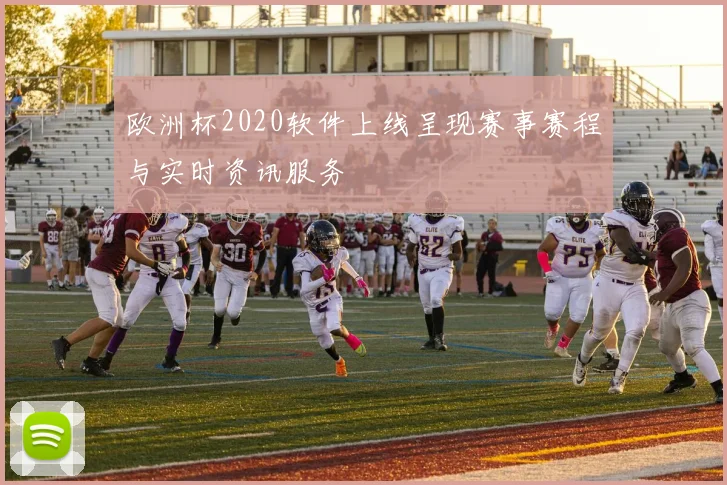 欧洲杯2020软件上线呈现赛事赛程与实时资讯服务
