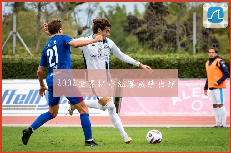 2002世界杯小组赛成绩出炉