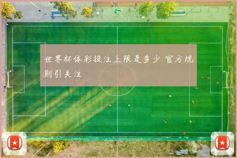 世界杯体彩投注上限是多少 官方规则引关注