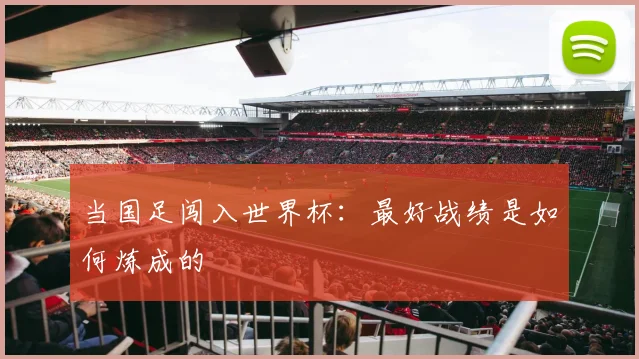 当国足闯入世界杯:最好战绩是如何炼成的