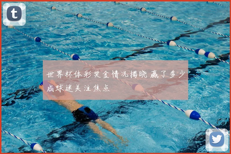 世界杯体彩奖金情况揭晓 赢了多少成球迷关注焦点
