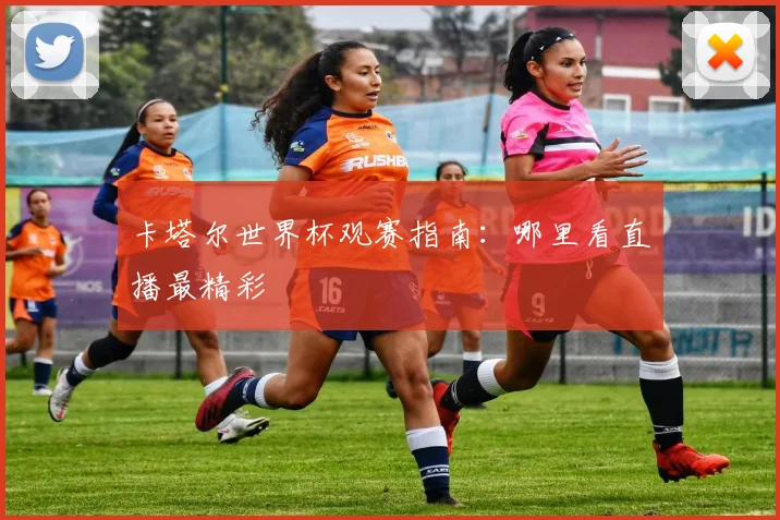 卡塔尔世界杯观赛指南:哪里看直播最精彩