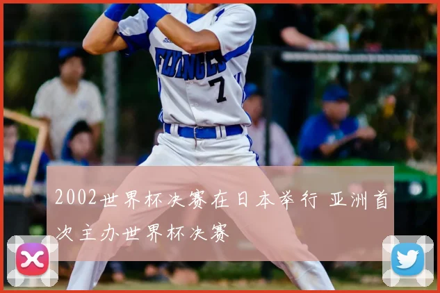 2002世界杯决赛在日本举行 亚洲首次主办世界杯决赛