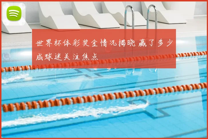 世界杯体彩奖金情况揭晓 赢了多少成球迷关注焦点