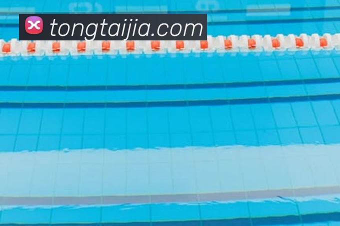 米兰app登录入口APP 封面图